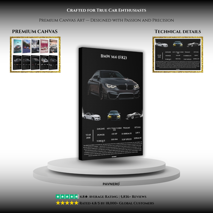 Pavnero® BMW M4 F82 Matte Canvas