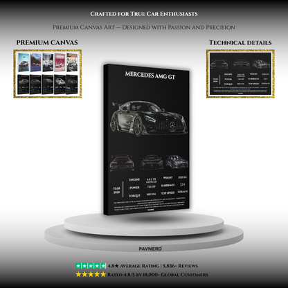 Pavnero®Mercedes AMG GT  Matte Canvas