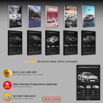 Pavnero® AUDI R8 LMS GT2 Matte Canvas