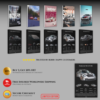 Pavnero® Porsche 911 GT3 Matte Canvas