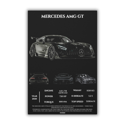 Pavnero®Mercedes AMG GT  Matte Canvas