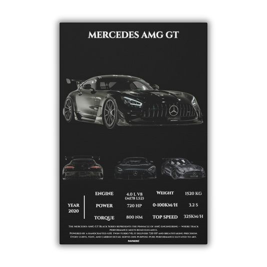 Pavnero®Mercedes AMG GT  Matte Canvas
