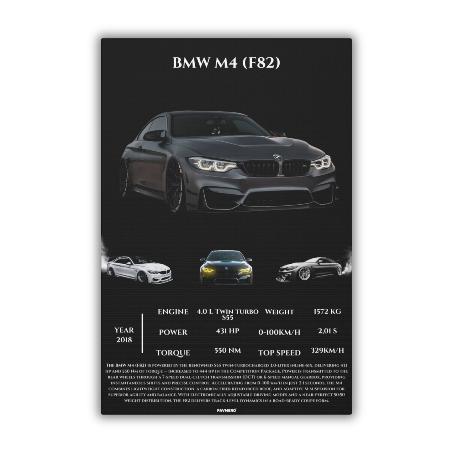 Pavnero® BMW M4 F82 Matte Canvas
