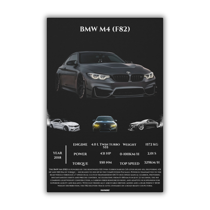 Pavnero® BMW M4 F82 Matte Canvas
