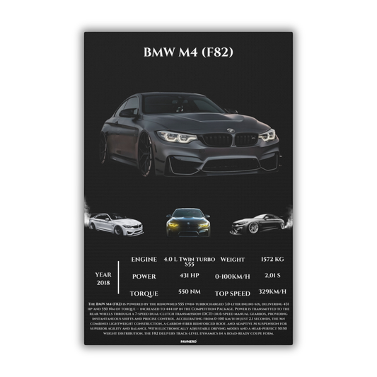 Pavnero® BMW M4 F82 Matte Canvas