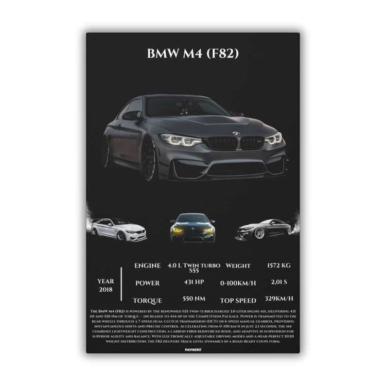 Pavnero® BMW M4 F82 Matte Canvas