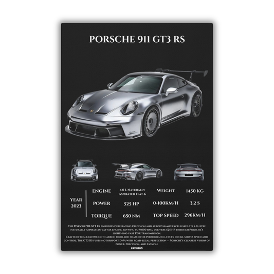 Pavnero® Porsche 911 GT3 RS Matte Canvas