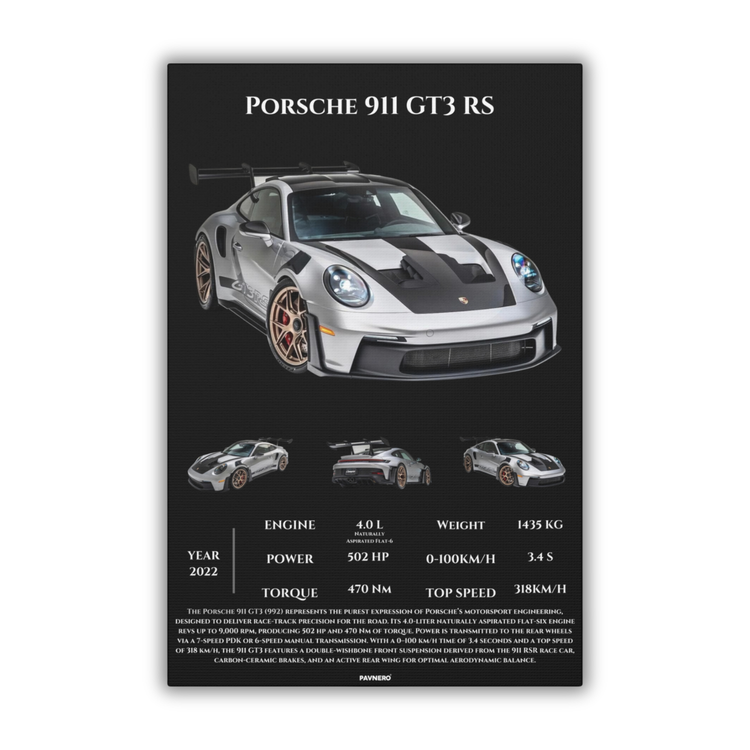 Pavnero® Porsche 911 GT3 Matte Canvas