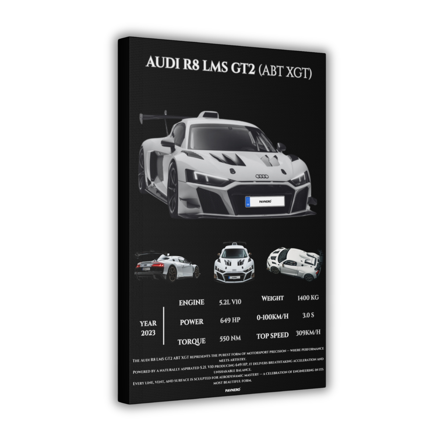 Pavnero® AUDI R8 LMS GT2 Matte Canvas