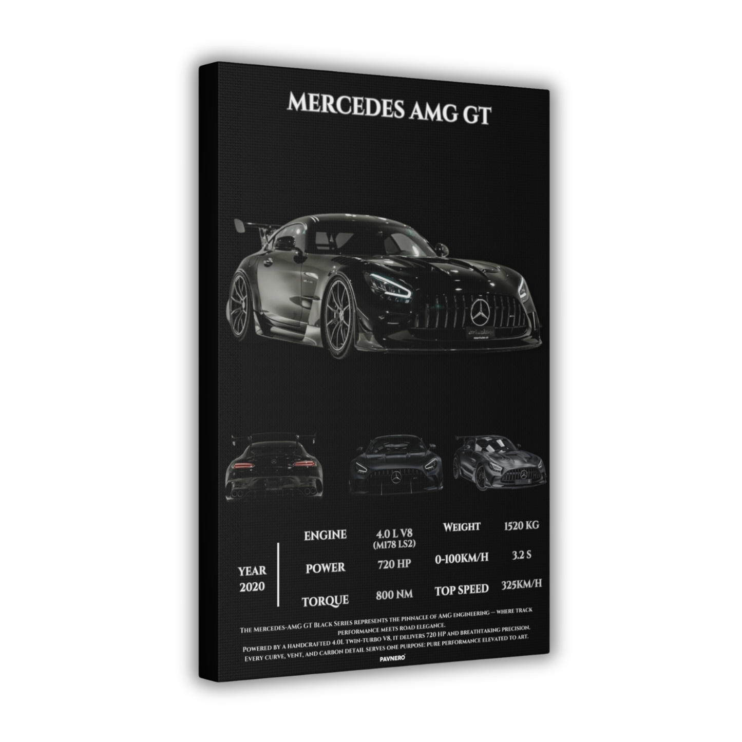 Pavnero®Mercedes AMG GT  Matte Canvas