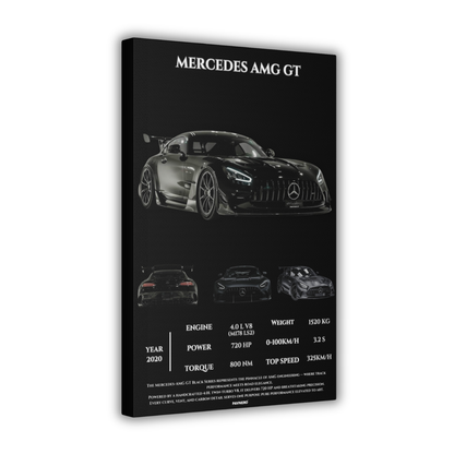 Pavnero®Mercedes AMG GT  Matte Canvas